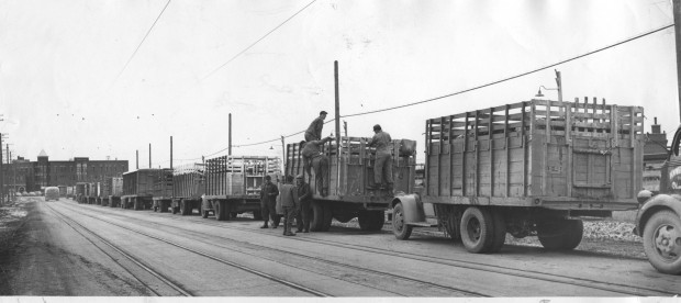 stockyards line of trucks.jpg